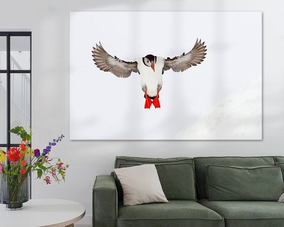 Aperçu de la chambre