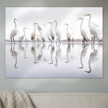 Great Egrets standing along the edge of a lake