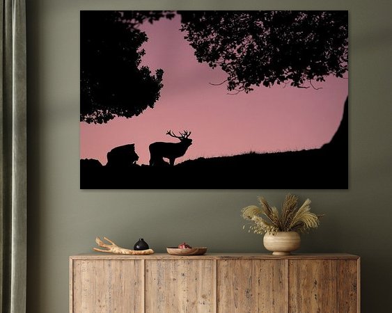 Aperçu de la chambre