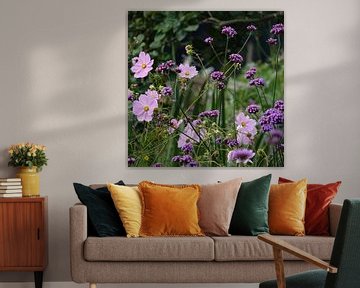 Purple and pink flowers by Daan Hartog