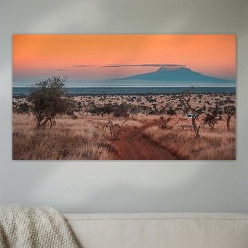 Sonnenaufgang in Kenia von Andy Troy