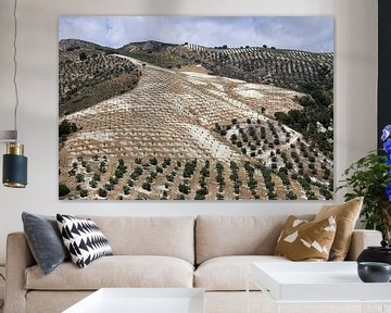 Olivgrüne Landschaft von Jan Katuin