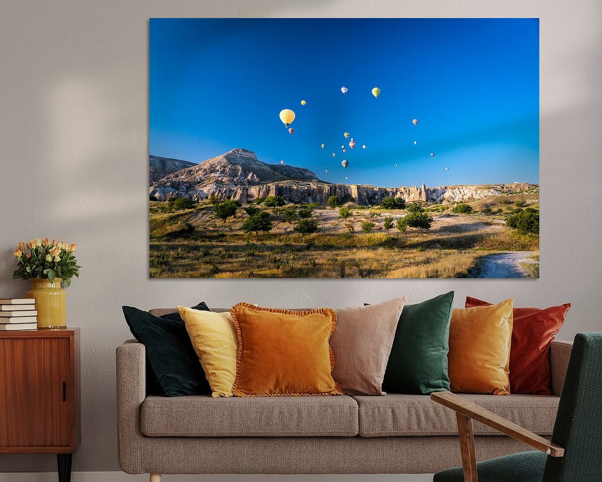 Aperçu de la chambre