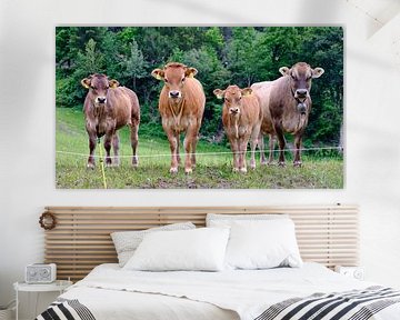 Koeien in Zwitserland van Arie Bon