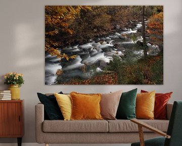 The Autumn River van Cornelis (Cees) Cornelissen