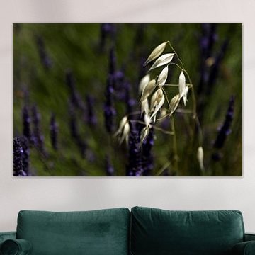 Zo alleen in het paars- So Alone in Purple