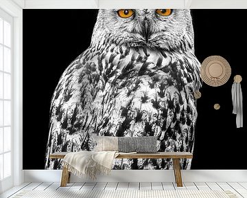 Black and white owl with colour eyes by Patrick van Bakkum