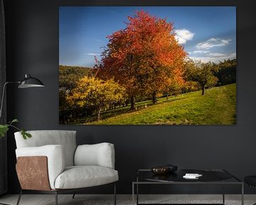 Autumn in the orchards near Engenhahn by Christian Müringer