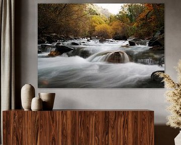 La rivière d'automne sur Cornelis (Cees) Cornelissen