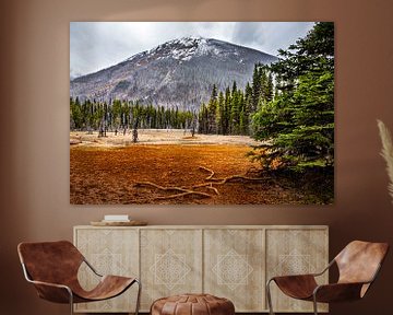 Rain day in Kootenay National Park, Canada by Rietje Bulthuis