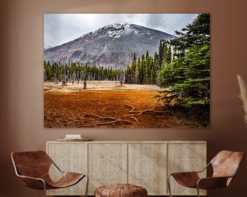 Regentag in Kootenay Nationalpark, Kanada