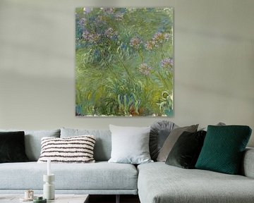 Lys africain (Agapanthus), Claude Monet