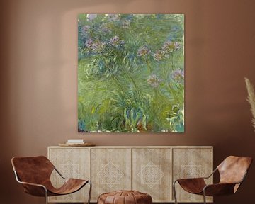Afrikaanse lelie (Agapanthus), Claude Monet
