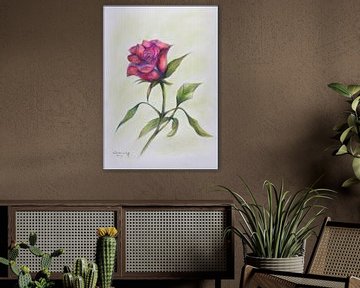 Pink rose. by Ineke de Rijk