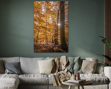 Herbstsonne in den Buchenwäldern im Taunus van Christian Müringer