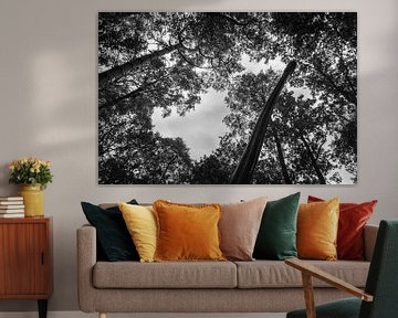 Black and white silhouette of trees and a brachiosaurus saw from below van Cristina Llavata