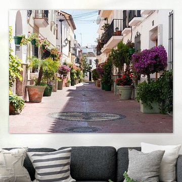 Bunte strasse in Estepona-1
