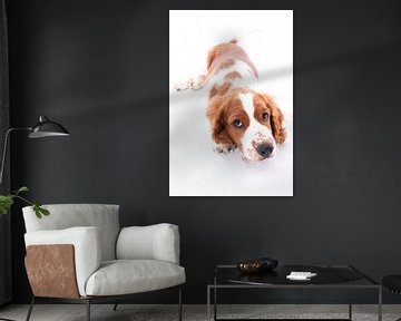 Hond by Florence Aafjes