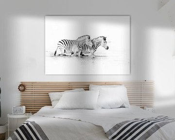 Zebras im Wasser schwarz-weiss von Robert Styppa