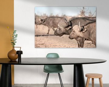 Afrikanisches Büffelpaar von Robert Styppa