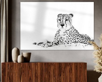 Cheetah von Robert Styppa