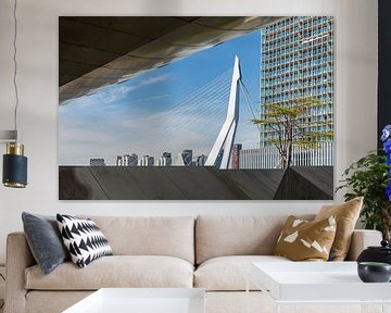 A fantastic glimpse of the Erasmus Bridge in Rotterdam by MS Fotografie | Marc van der Stelt