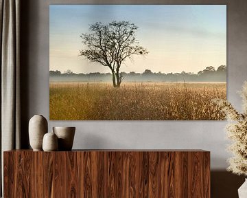 Tree in the Savanna sur Robert Styppa