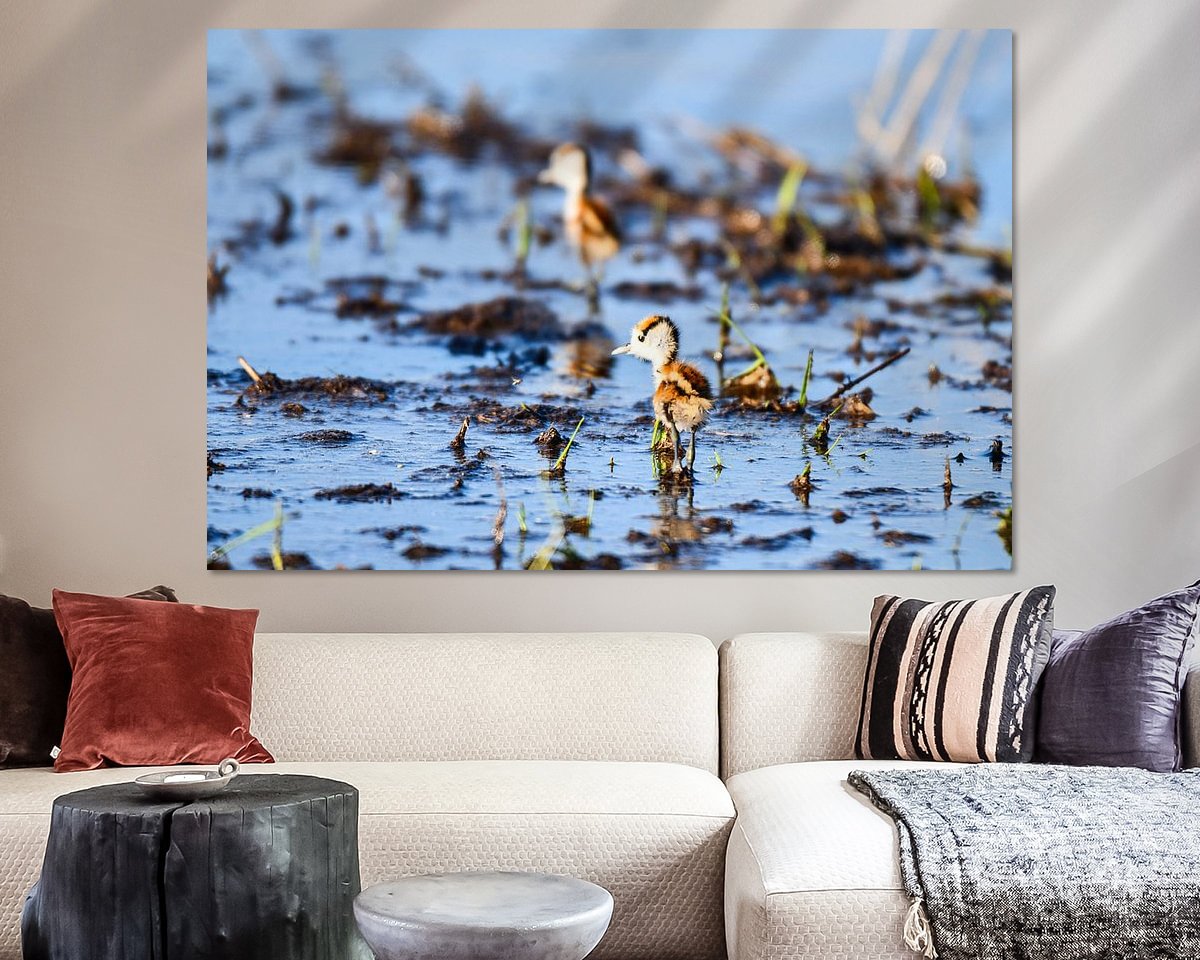 Voorbeeld van het werk in een kamer