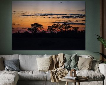 African Sunset van Robert Styppa