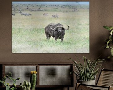 Cape Buffalo van Robert Styppa
