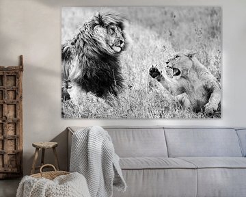 Löwen von Robert Styppa