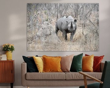 Black Rhino van Robert Styppa