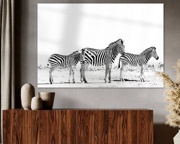 3 Zebras von Robert Styppa