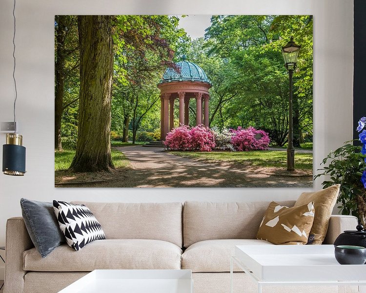 Aperçu de la chambre