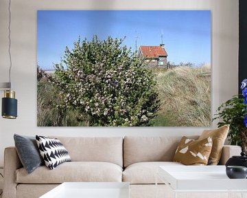 Huisje in de duinen van Terschelling van Nynke van der Ploeg