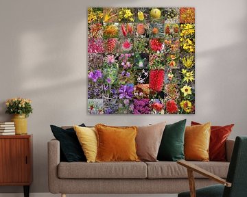 Collage of Australian wildflowers van Ines Porada
