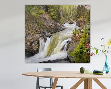 Waterfall, Alaska by Rietje Bulthuis