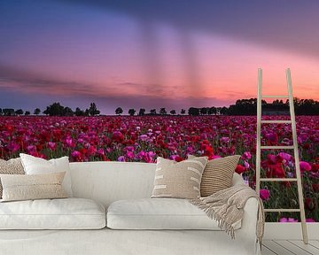 Serious Moonlight by Esmeralda holman