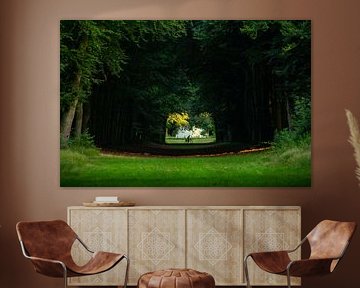 ochtendgloren Heilooerbos