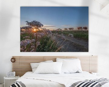 Des vaches sur la digue au coucher du soleil sur Moetwil en van Dijk - Fotografie