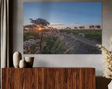 Koeien op de dijk bij zonsondergang van Moetwil en van Dijk - Fotografie