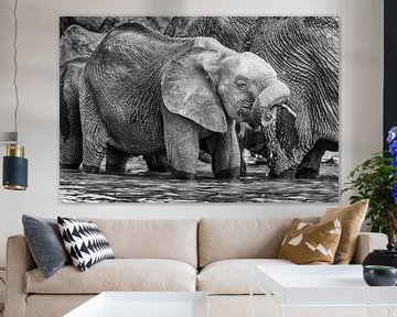 Junger Elefant am Wasser Loch im Schwarz und Weiß von Chris Stenger