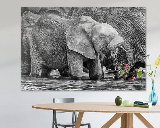 Aperçu de la chambre