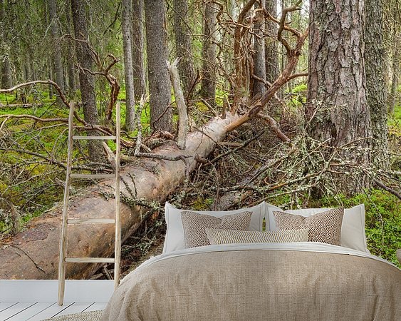 Aperçu de la chambre