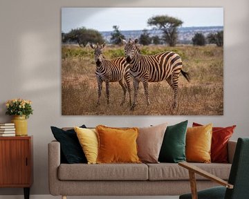 Zebra's in Kenia van Andy Troy