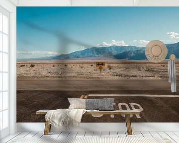 Death Valley crossing by Andy Troy