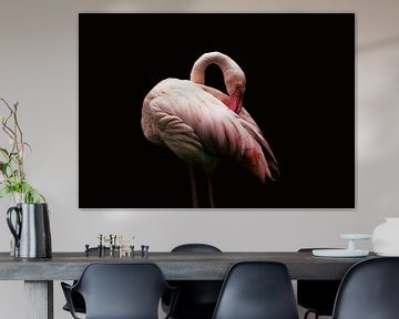 Flamingo von Stephanie Kweldam-Beugelink