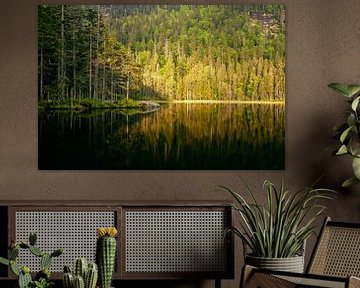 Sonnenaufgang am großen Arbersee von Max Schiefele