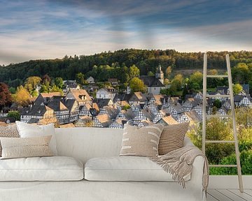 Freudenberg in Siegerland van Michael Valjak