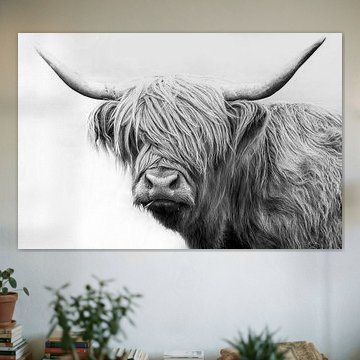 Schotse hooglander van Poster Art Shop